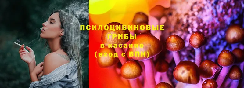 ссылка на мегу ссылки  Кропоткин  Псилоцибиновые грибы Cubensis 